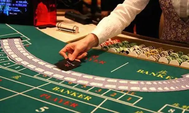 Dasbor multi-olahraga rex88 dengan panduan pasar